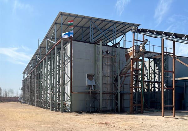 Reinforced concrete anaerobic digester structure with feedstock conveyor
